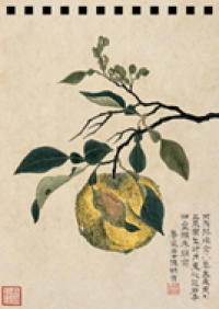 Желтый плод (блокнот)