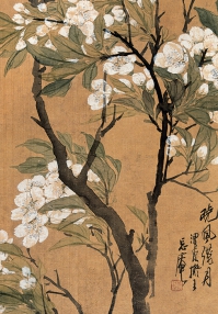 Тетрадь. Белые цветы на коричневом фоне (нелинованная)