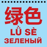 Блокнот на пружине. Цвет. Зеленый